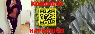 каннабис Будённовск