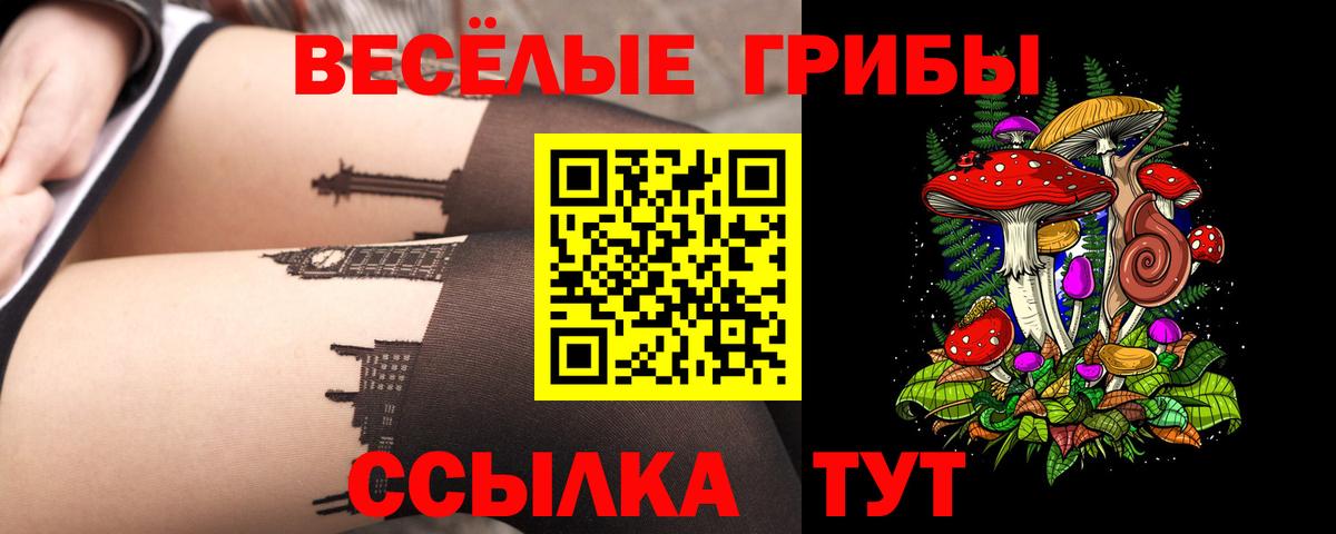Галлюциногенные грибы GOLDEN TEACHER Кондопога