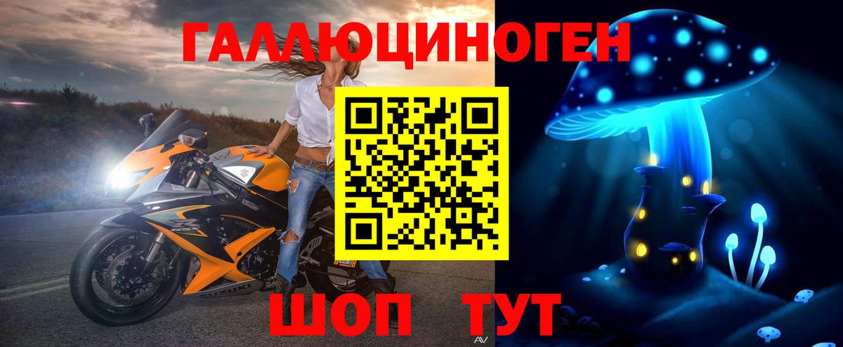 закладка  Вход с VPN  Кондопога  Псилоцибиновые грибы мухоморы 