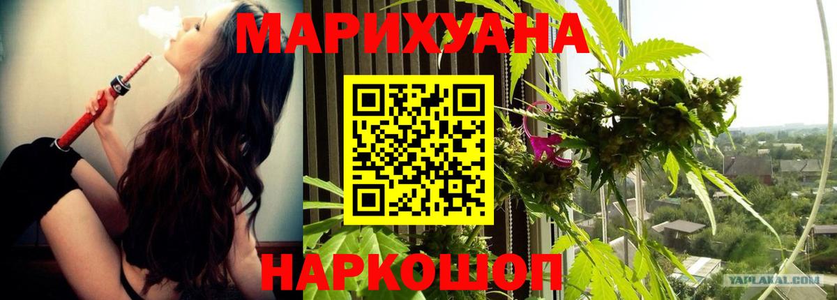 Бошки марихуана MAZAR  Вход с VPN  Кондопога  Канабис планчик  Конопля OG Kush 